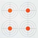 SI-3 - Qualification Targets Inc