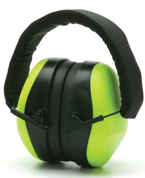 PM8031 - Ear Protection - Qualification Targets Inc