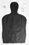 ICE-QT Paper Target